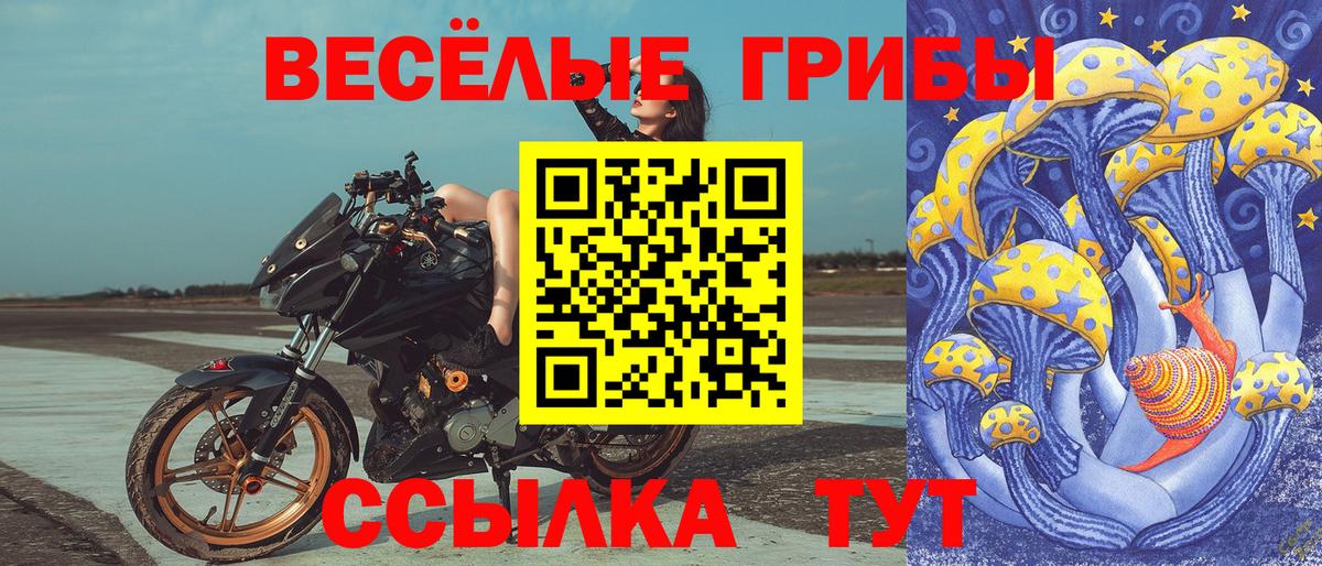 где можно купить наркотик  Вход с VPN  Боровичи  Псилоцибиновые грибы Psilocybe 