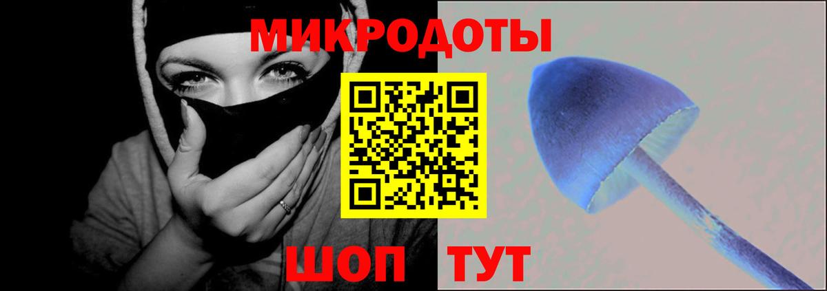 Галлюциногенные грибы Psilocybine cubensis Боровичи